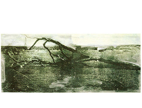 Behandelter Baum, 1998, lichtdruk, etsinkt, acryl, 153 x 70 cm